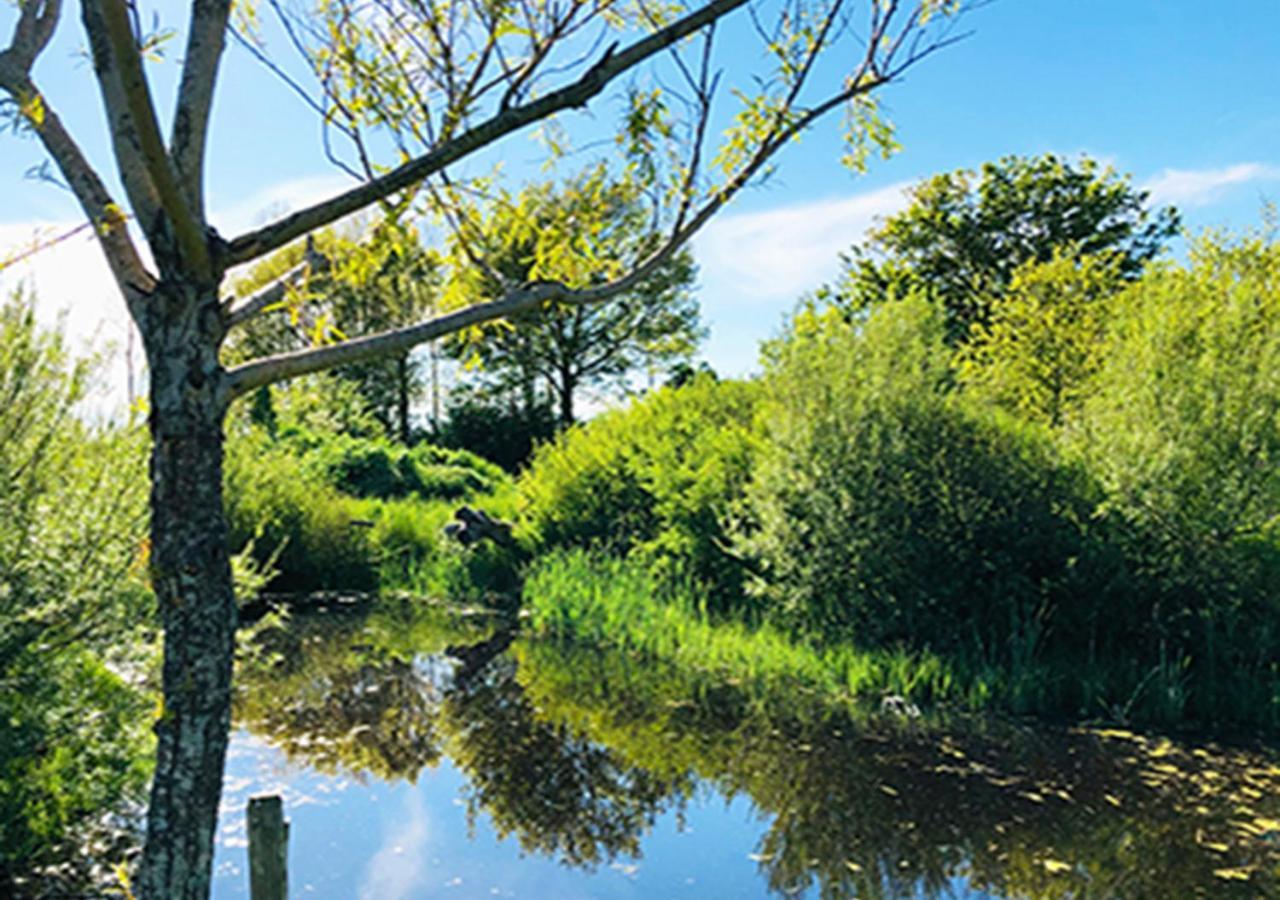 Finca Vrij Scharendijke Exteriör bild
